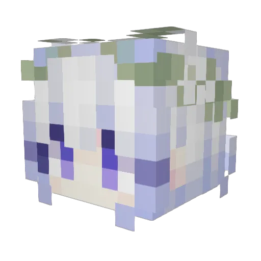 FateDenied Minecraft avatar head, 3D render