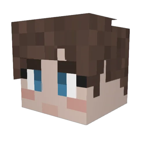 FateMineMe Minecraft avatar head, 3D render