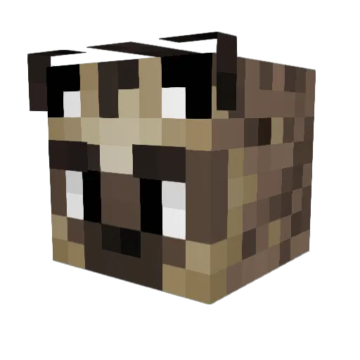 FateOfStephane Minecraft avatar head, 3D render