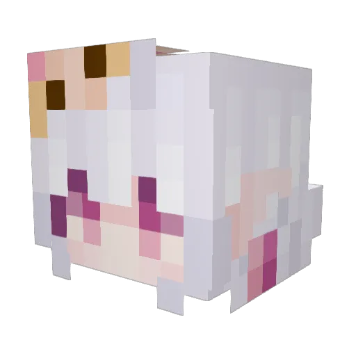 FateWillDecide Minecraft avatar head, 3D render