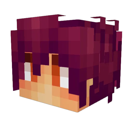 Fate_Assassin Minecraft avatar head, 3D render