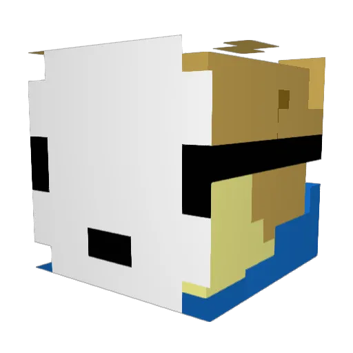 FatedFLyer26778 Minecraft avatar head, 3D render