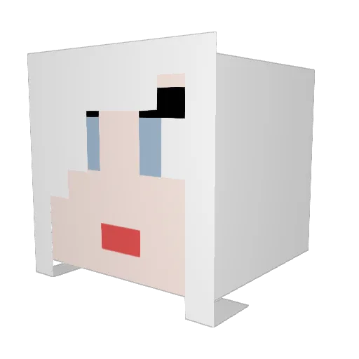 Fategirl Minecraft avatar head, 3D render
