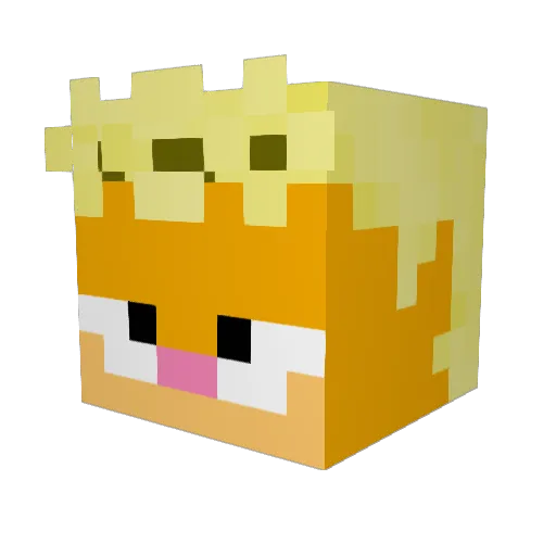 FateofHearts Minecraft avatar head, 3D render