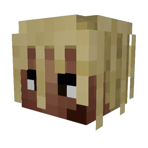 Fatgooose Minecraft avatar head, 3D render