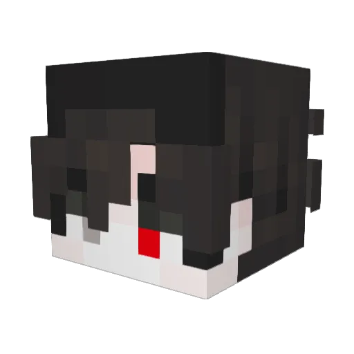 Father0Karras Minecraft avatar head, 3D render
