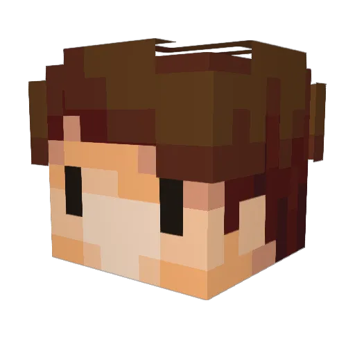 FatherBees Minecraft avatar head, 3D render