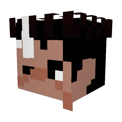 FatherFrogg Minecraft avatar head, 3D render