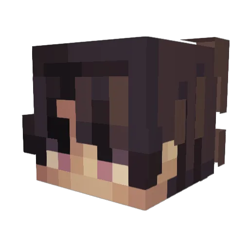 FatherofNUT Minecraft avatar head, 3D render