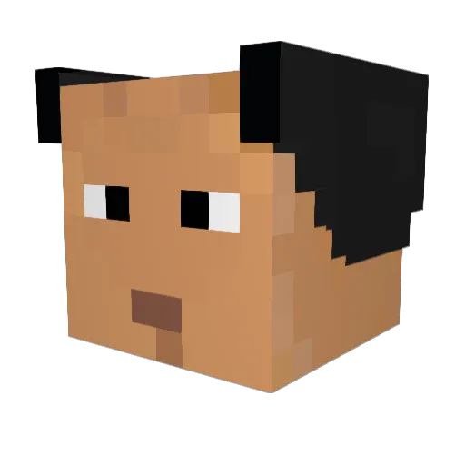 Fathertimegames Minecraft avatar head, 3D render
