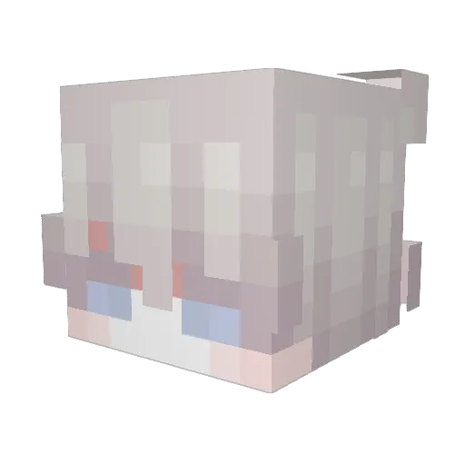FatiguedEevee Minecraft avatar head, 3D render