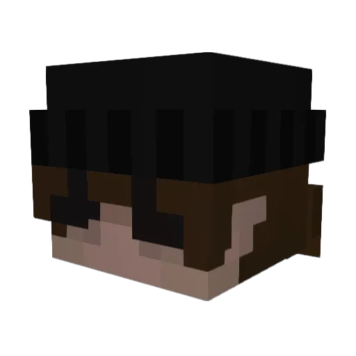 Fatmeef Minecraft avatar head, 3D render