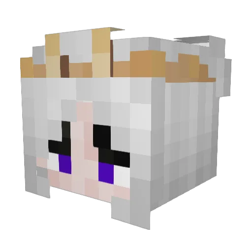 Fatoushaa Minecraft avatar head, 3D render