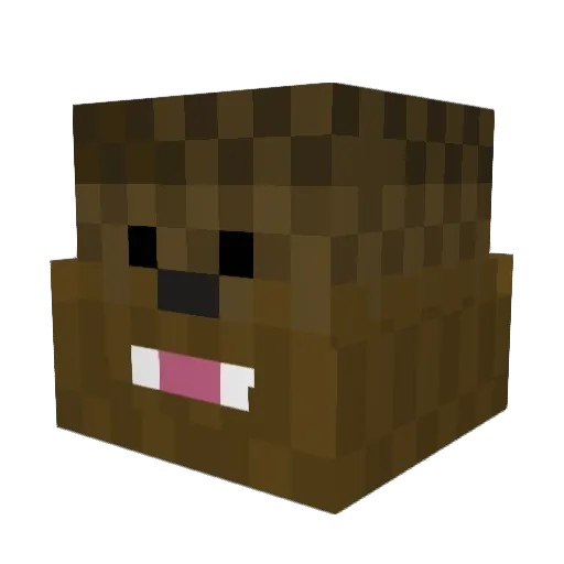 Fatsnowman34 Minecraft avatar head, 3D render