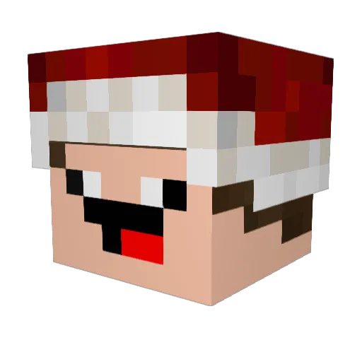 Fatta Minecraft avatar head, 3D render