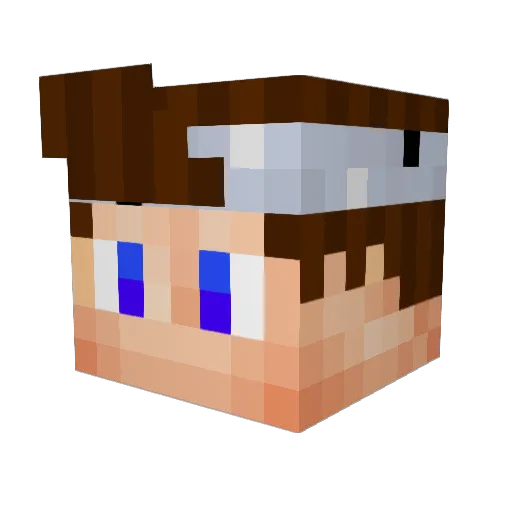Fattkid Minecraft avatar head, 3D render