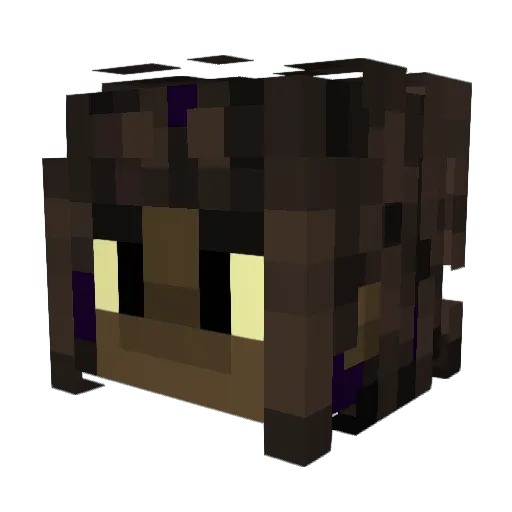 Fattras Minecraft avatar head, 3D render