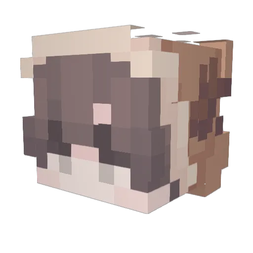 Fattus_Pattus Minecraft avatar head, 3D render