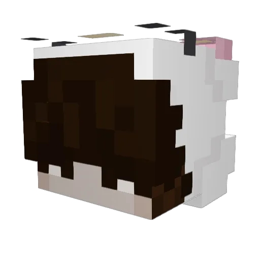 FattyLouis99 Minecraft avatar head, 3D render
