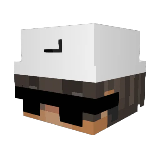 Fattycakeclap076 Minecraft avatar head, 3D render