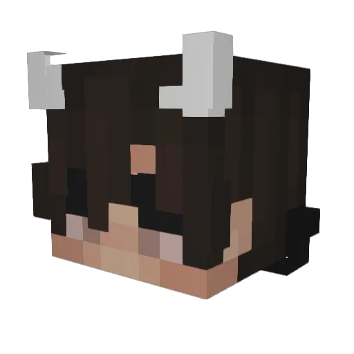 Fatzer Minecraft avatar head, 3D render