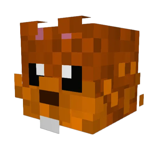 Fatzombie110 Minecraft avatar head, 3D render