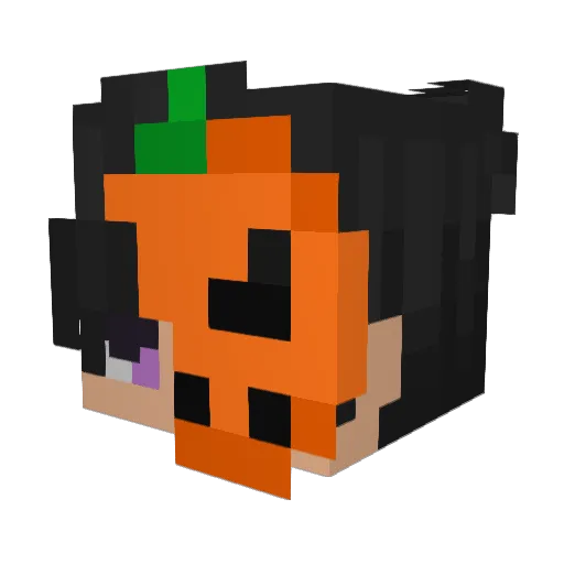 Fauchekatze Minecraft avatar head, 3D render
