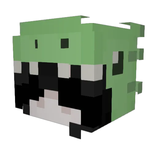 Faucyle Minecraft avatar head, 3D render