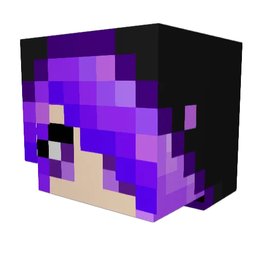 Fauldown Minecraft avatar head, 3D render