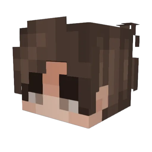 FaultierStein Minecraft avatar head, 3D render