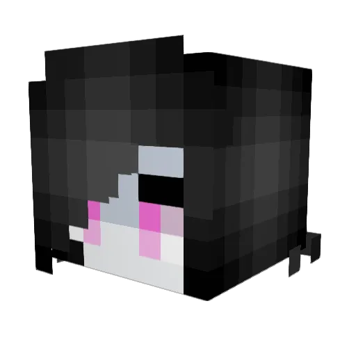 Faulty69 Minecraft avatar head, 3D render