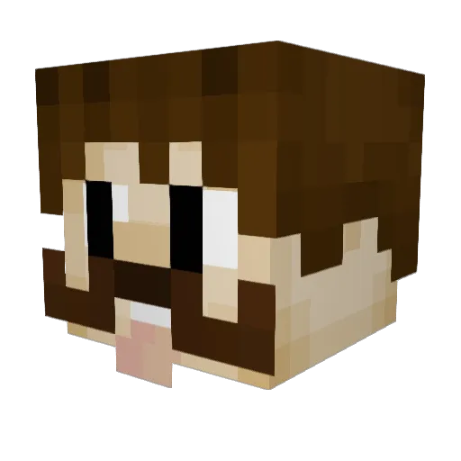 FaultyMeniscus Minecraft avatar head, 3D render