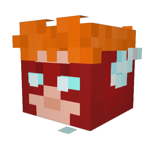 FaultyNickel511 Minecraft avatar head, 3D render