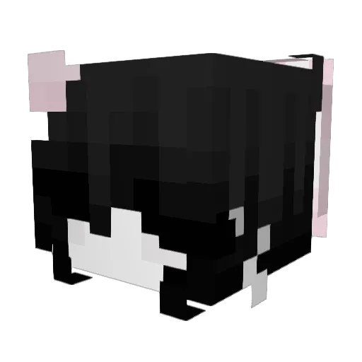 Faunmi Minecraft avatar head, 3D render