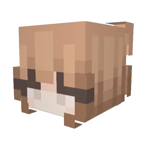 Fauqz Minecraft avatar head, 3D render