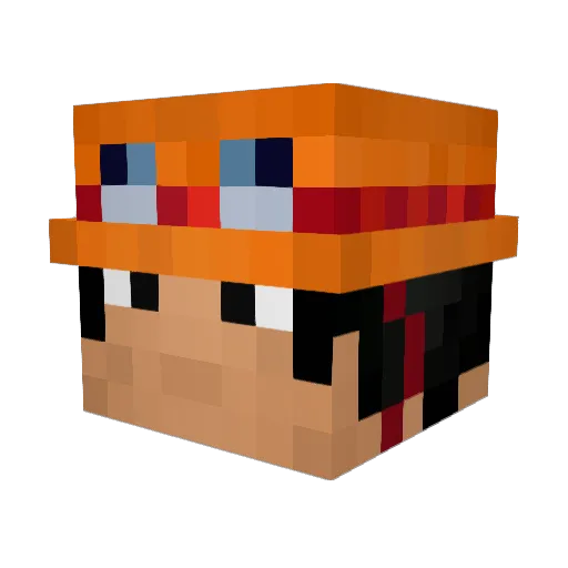 Fauruspopdisdu Minecraft avatar head, 3D render