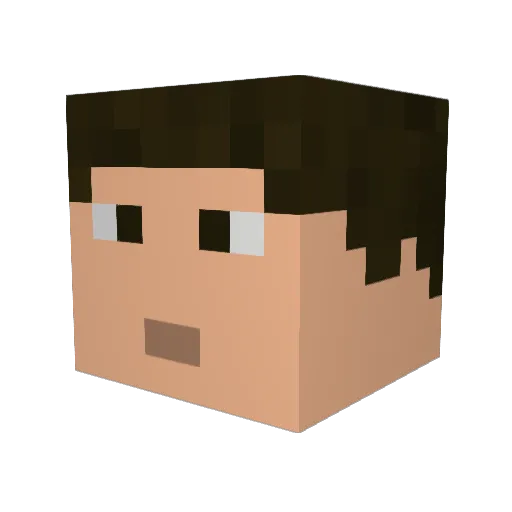 Fauser123 Minecraft avatar head, 3D render