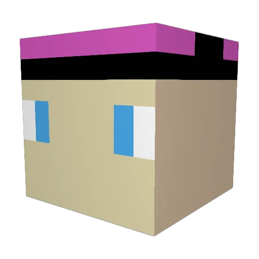 Faux1337 Minecraft avatar head, 3D render