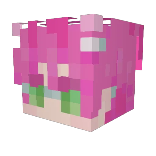 FauxFroggo Minecraft avatar head, 3D render