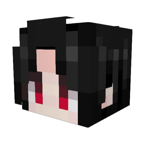 Fauxetrot Minecraft avatar head, 3D render