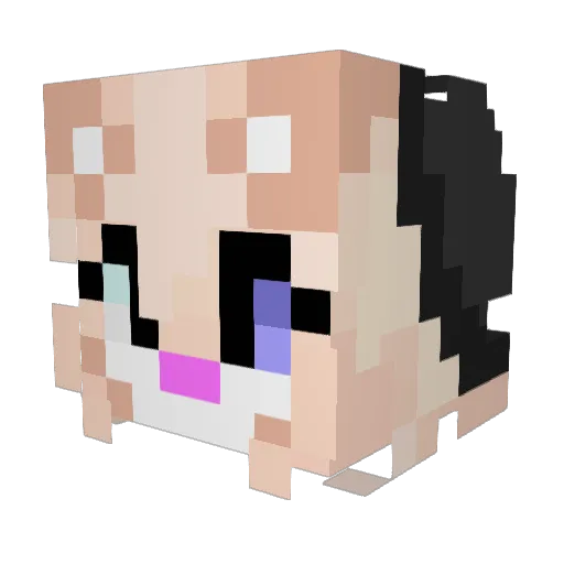 Fauxyde Minecraft avatar head, 3D render