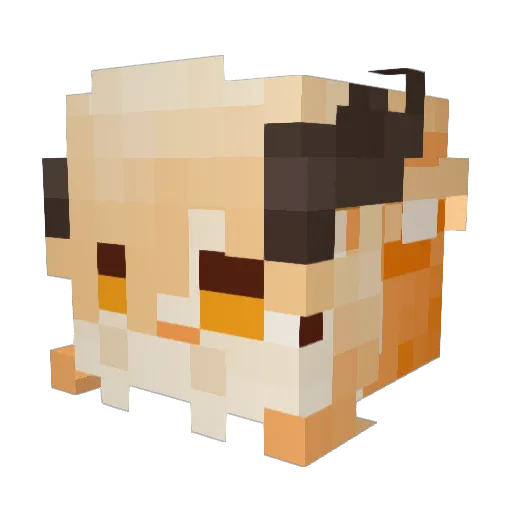 Favillaa Minecraft avatar head, 3D render
