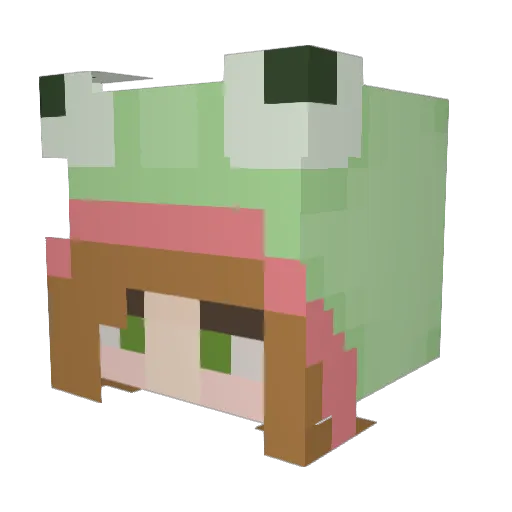 FavvFrog Minecraft avatar head, 3D render