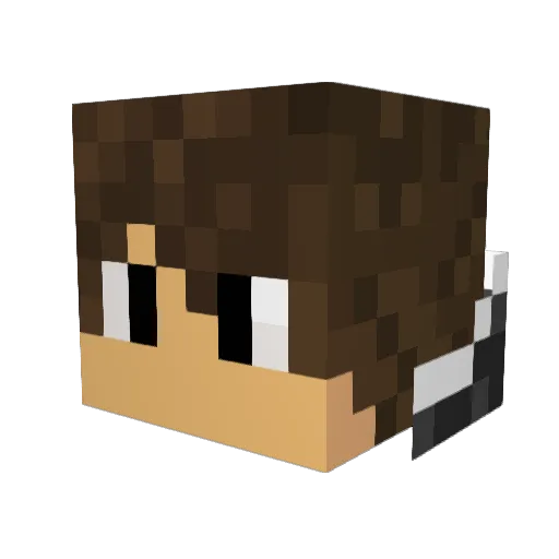 Fawhui Minecraft avatar head, 3D render