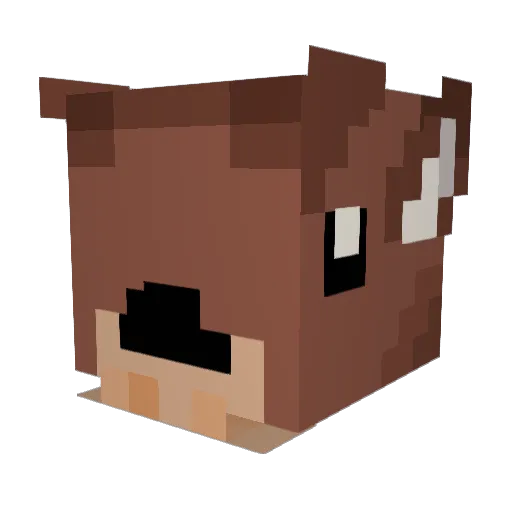 Fawn737 Minecraft avatar head, 3D render