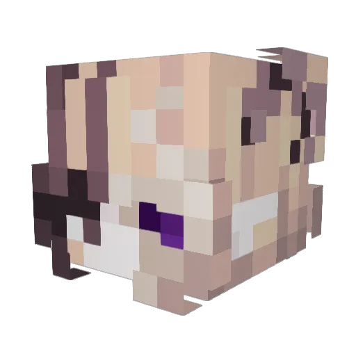 Fawnriver Minecraft avatar head, 3D render