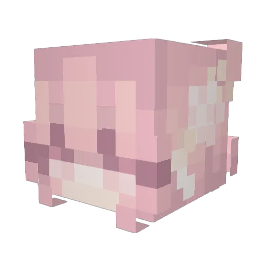 Fawnster Minecraft avatar head, 3D render
