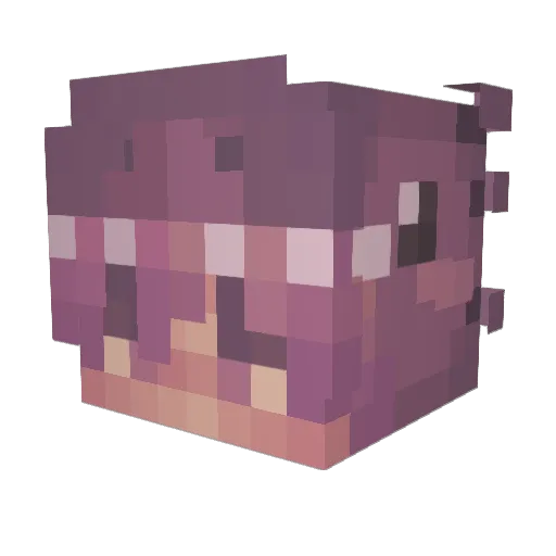 Fawset_ Minecraft avatar head, 3D render