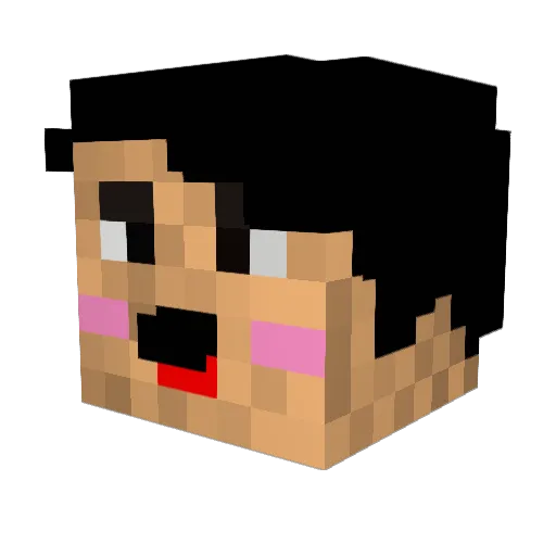 FawxTD Minecraft avatar head, 3D render