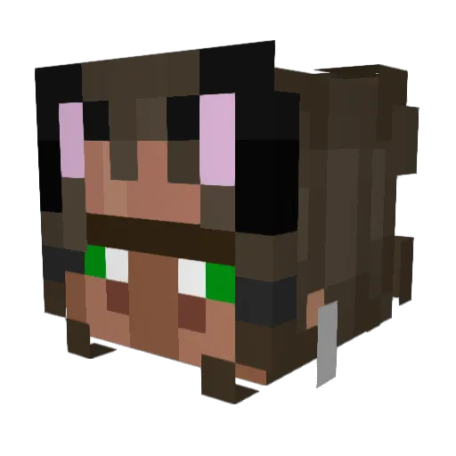 Fax0rion Minecraft avatar head, 3D render
